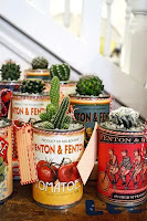 Mini Cactus para Decorar la Casa