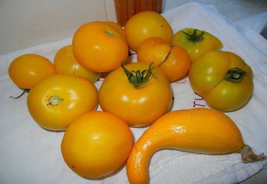 DSCN0302
