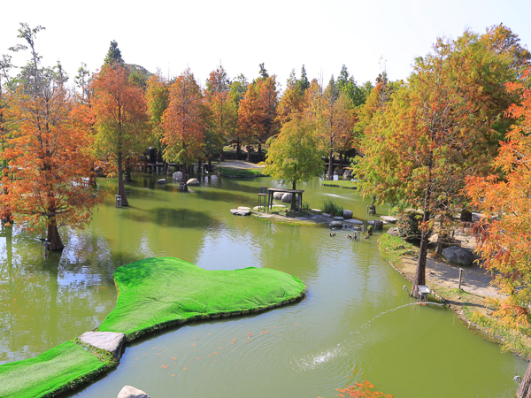 澄霖沉香味道森林館日式禪風造景，落羽松景觀生態池，雲林兼六園