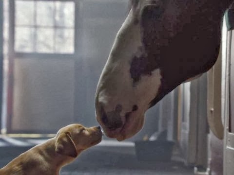 http://www.businessinsider.com/budweiser-2014-super-bowl-ad-puppy-love-2014-1