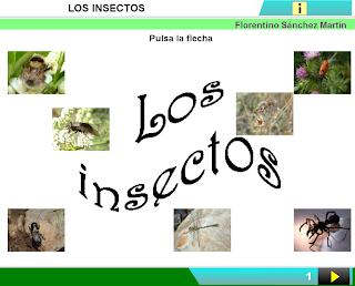 http://cplosangeles.juntaextremadura.net/web/edilim/curso_3/cmedio/animales_invertebrados_3/insectos/insectos.html