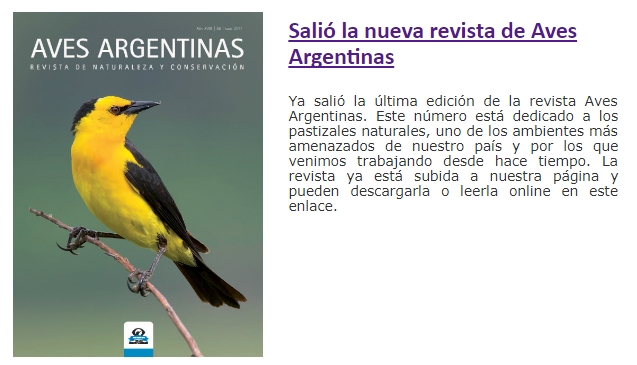 Avistaje en Salta, Argentina. Birdwatching y fotografía de Juan Carlos Gorrini.