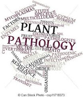 Plant Pathology Questions