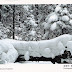 Postcards Received - Heavy Snow on The Pine Branches