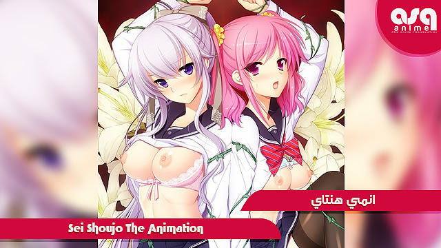 تحميل الهنتاي Sei Shoujo The Animation حصرياً