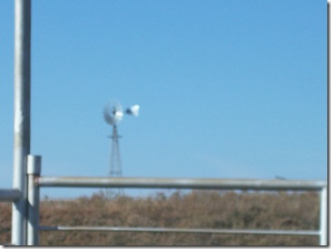 Thanksgiving, Bessie, & Corn, OK 022