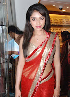 Amala, Paul, New, Hot-Photo, in, Saree, 