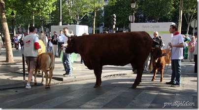 Les Champs 8.