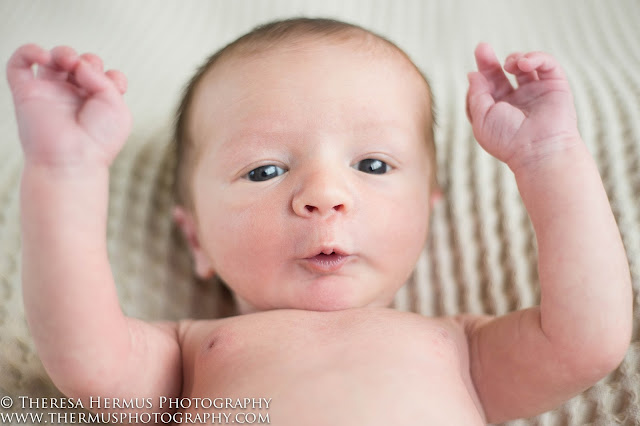 milwaukee newborn photographer, milwaukee baby photographer, milwaukee family photographer