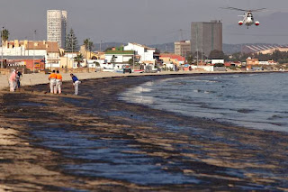 Marea negra en Algeciras