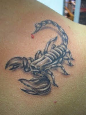 scorpian tattoos. Scorpion Tattoos