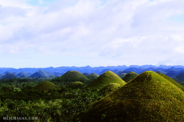 Alam Mengembang Jadi Guru: 2 Keajaiban Alam Pulau Bohol