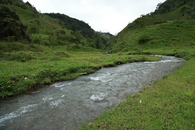 Aliados de la Cuchilla de San Juan articulan proyectos para la gestión efectiva del área protegida