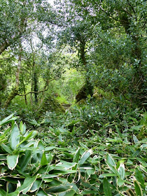 Parc National de Glenveagh