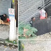 SP: homem é flagrado abusando de moradora em situação de rua | Brazil News Informa