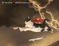 Este artista convierte gatos en gigantes con Photoshop y el resultado es genial