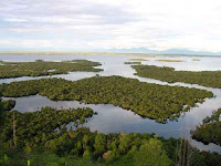 Heart of Borneo di Taman Nasional Danau Sentarum