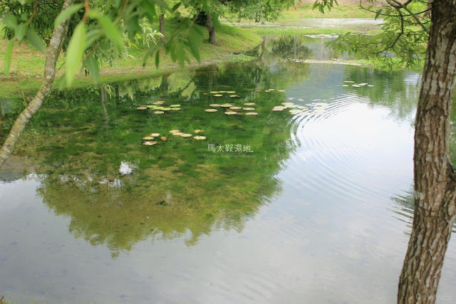 馬太鞍濕地生態園區-12