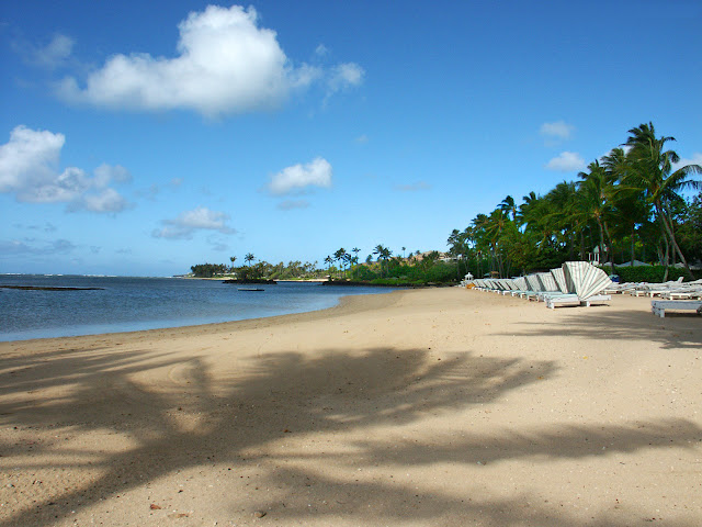 beach wallpapers,free beach wallpaper,beautiful beach wallpaper,sea beach wallpaper,beach wallpaper desktop,beautiful beach wallpapers,beach wallpaper hd,beach computer wallpaper,beach desktop wallpapers,beach desktop wallpaper,summer beach wallpaper,caribbean beach wallpaper,beach scenes wallpaper,hd beach wallpaper,tropical beach wallpaper,best beach wallpaper,beach sunset wallpaper,beach pictures wallpapers,hd beach wallpapers,beach scene wallpaper,beach model wallpaper,beach theme wallpaper,beach themed wallpaper,beach wallpapers hd,girl beach wallpaper,wallpaper beach,paradise beach wallpaper,sunset beach wallpapers,wallpapers beach,free tropical beach wallpaper,beach landscape wallpaper,the beach wallpaper,summer beach wallpapers,hawaii beach wallpaper,free beach desktop wallpaper,bondi beach wallpaper,beach wallpaper widescreen,sea beach wallpapers,sandy beach wallpaper,palm tree beach wallpaper,waikiki beach wallpaper,beach view wallpaper,beach sunset wallpapers,beach scenery wallpaper,beach wallpapes for desktop,free beach wallpapers,beach wallpaper for computer,wallpapers download,love wallpaper,jamaica beach wallpaper,