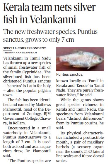 silver-fish-new-species-found-tamilnadu