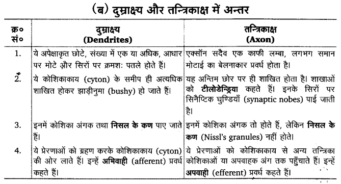 Solutions Class 11 जीव विज्ञान Chapter-21 (तन्त्रिकीय नियन्त्रण एवं समन्वय)