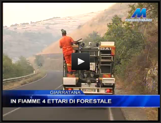 http://www.videomediterraneo.it/notizie/cronaca/13716-giarratana-in-fiamme-4-ettari-di-forestale.html