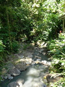 Stream at Diamond Botanical Garden Soufriere St. Lucia by garden muses-not another Toronto gardening blog