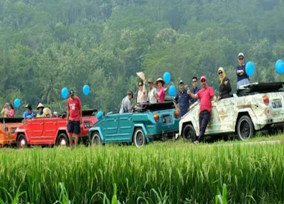 Tour dengan VW Safari di Ubud, Bali