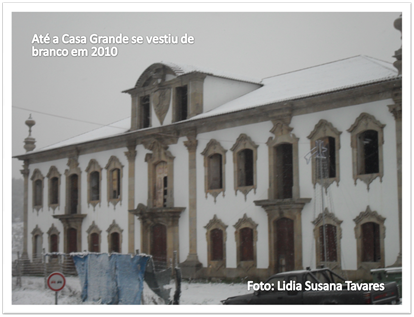 Imagem5