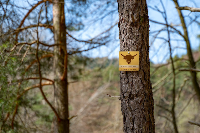 Auerochsentour - St. Martin | Wandern mit Kindern | Südliche Weinstraße | Erlebnisland 11