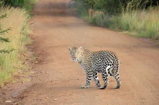 13 days kenya- tanzania scenic safari