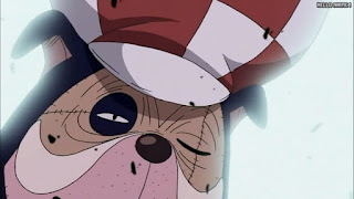 ワンピースアニメ スリラーバーク編 347話 犬ッペ  サンジゾンビ CV.平田広明 | ONE PIECE Episode 347 Thriller Bark