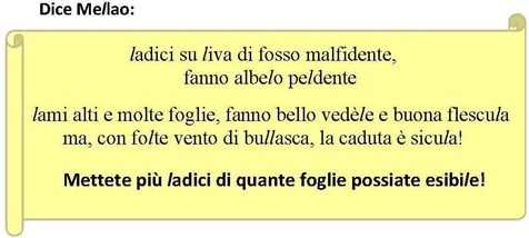 Copia di mellao