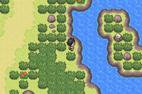 Pokemon LionHeart Screenshot 05