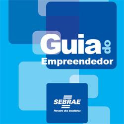  Inovação como estratégia competitiva da micro e pequena empresa - SEBRAE - AudioBook