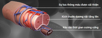 tang kích cỡ cậu nhỏ