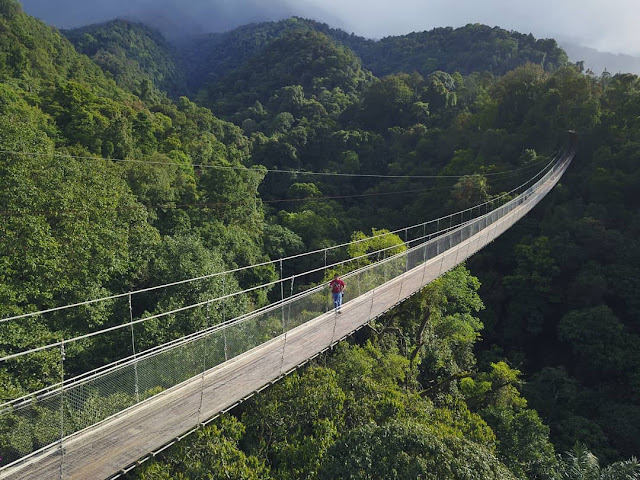 Jembatan Gantung Situ Gunung Suspension Bridge