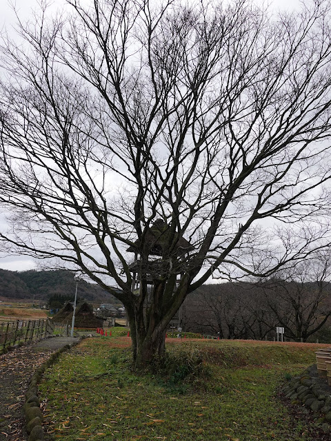 伯耆古代の丘公園