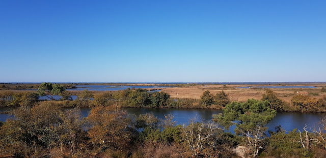 Teich Bird Reserve