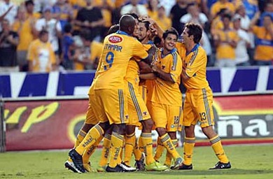 tigres2917312