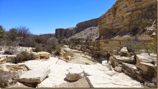 Terlingua rockhounding_110