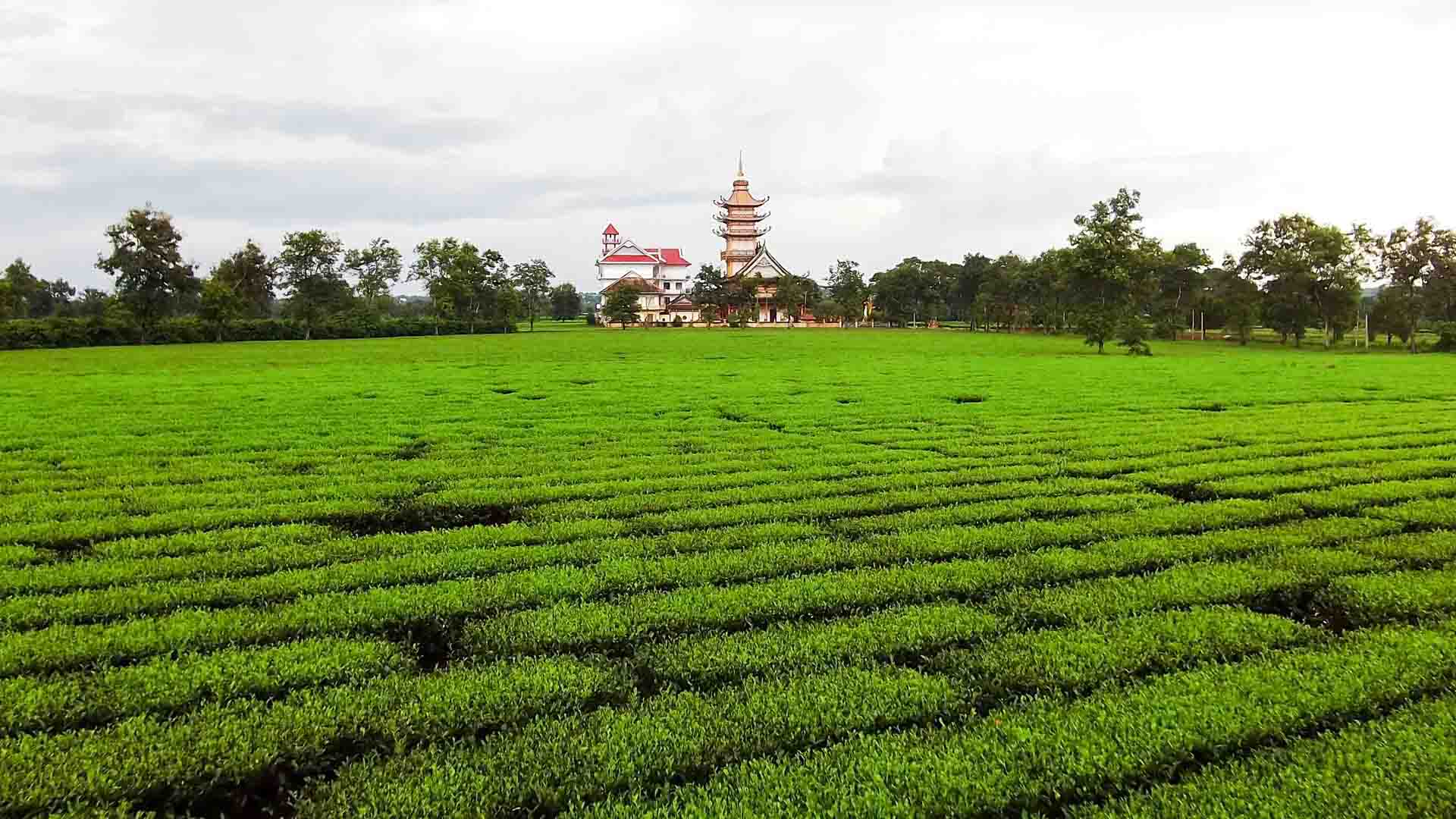 Biển Hồ chè