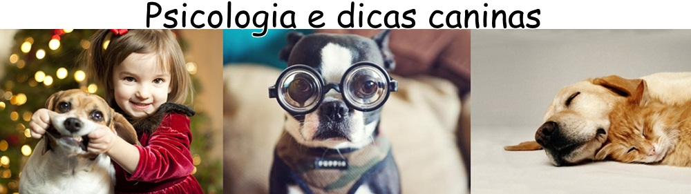 Psicologia e dicas caninas