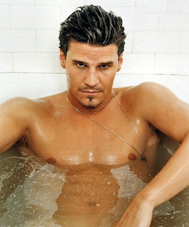 david boreanaz pictures