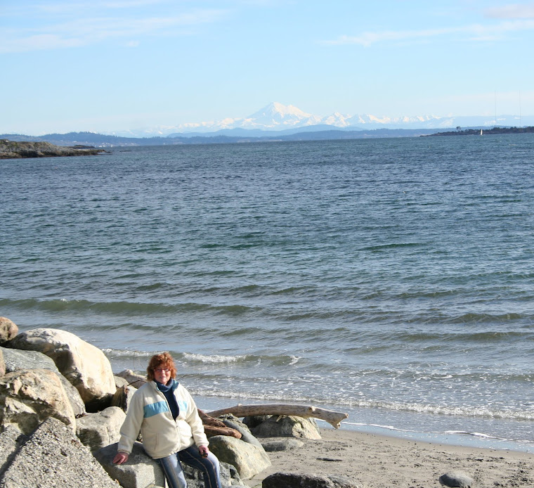 MOUNT BAKER WASHINGTON STATE