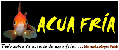 Acua Fría