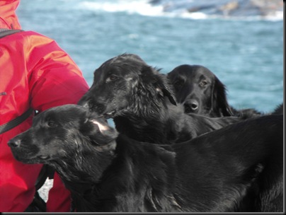 2009_1007Ramsvik10034