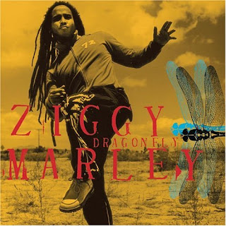dragonfly. ziggy maeley, demen reggae, album reggae, lagu reggae, reggae music