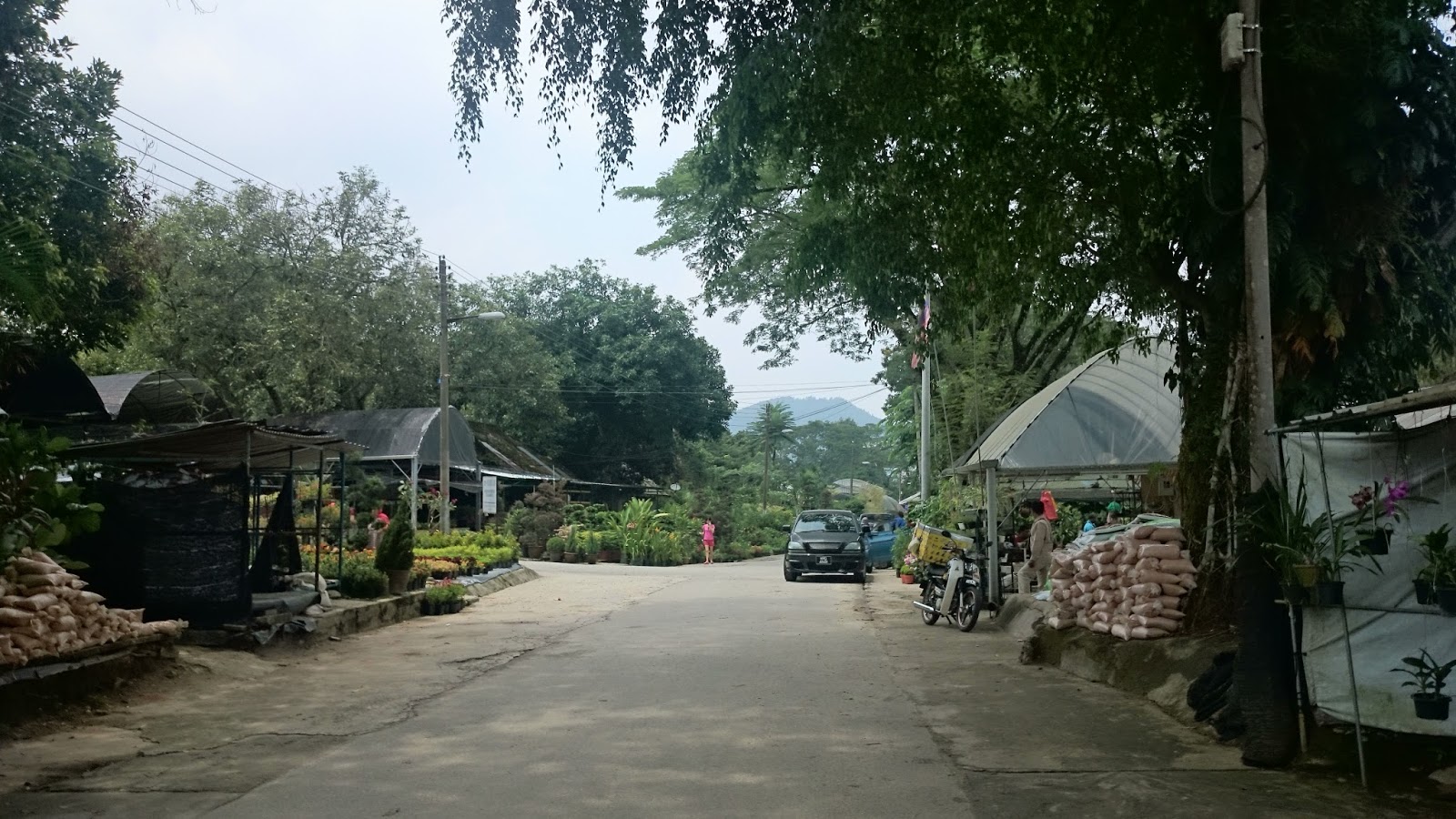 Kedai Basikal Murah Di Sungai Buloh