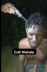 [18+] VIRAL VIDEO OF A RIVAL GANG EXECUTING ANOTHER RIVAL AND CUTTING OFF HIS PENIS